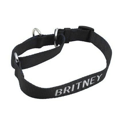 Martingale Collar - with Embroidery, - Lucky Pet